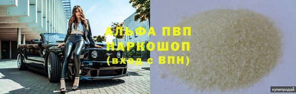 хмурый Аркадак