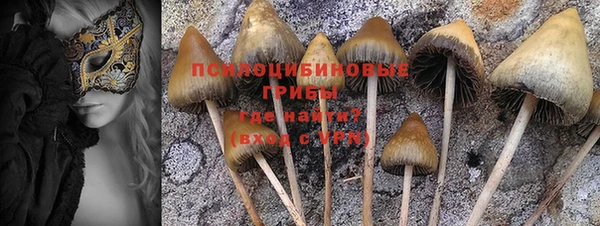 МДПВ Арсеньев