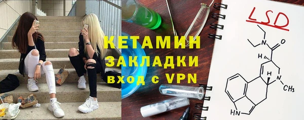 хмурый Аркадак