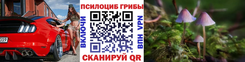 как найти   Кирсанов  mega ссылка  Псилоцибиновые грибы мицелий 